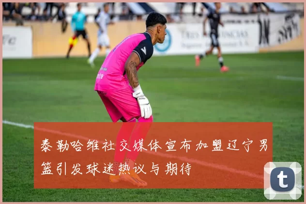 泰勒哈维社交媒体宣布加盟辽宁男篮引发球迷热议与期待