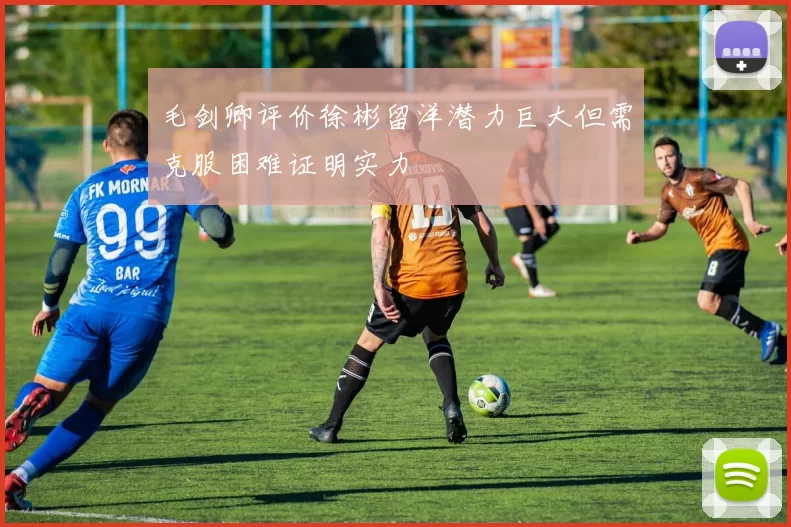 毛剑卿评价徐彬留洋潜力巨大但需克服困难证明实力