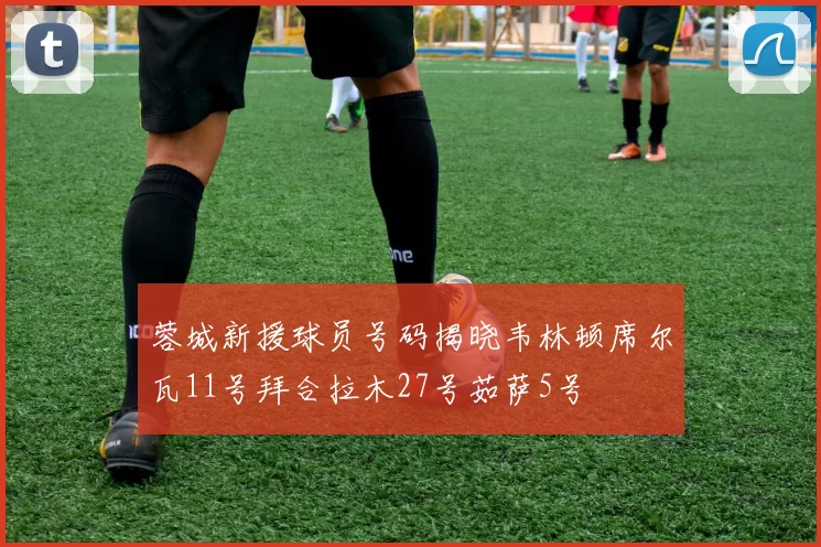 蓉城新援球员号码揭晓韦林顿席尔瓦11号拜合拉木27号茹萨5号